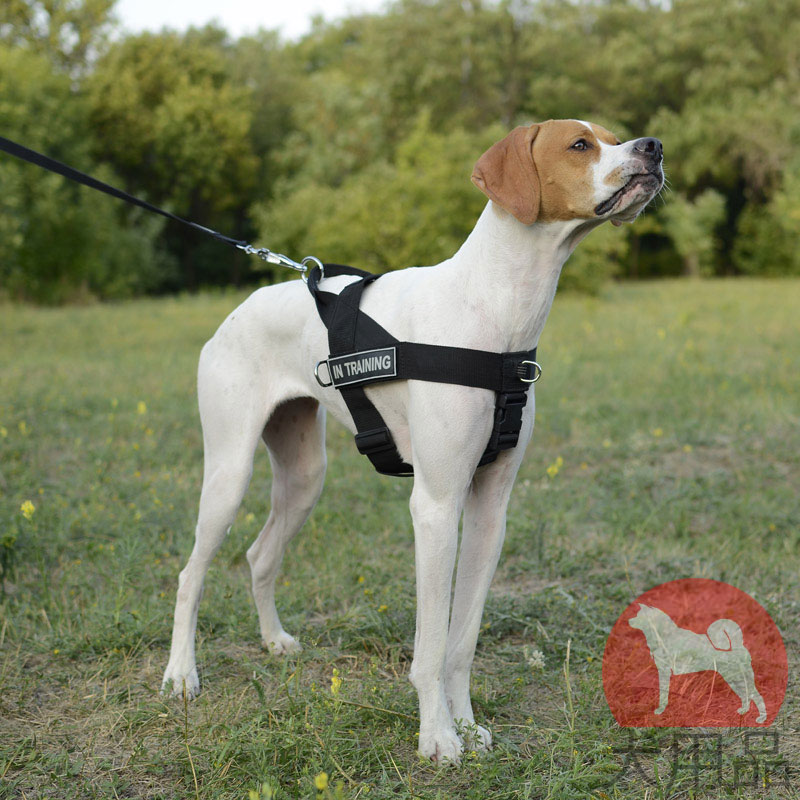 ランキング第1位 Homein 犬 ハーネス 大型犬 18-34KG 犬用 犬への負担が少ない 引っ張り防止胴輪 サイズ調整可能 脱着簡単 夜間反射  安心散歩 通気性
