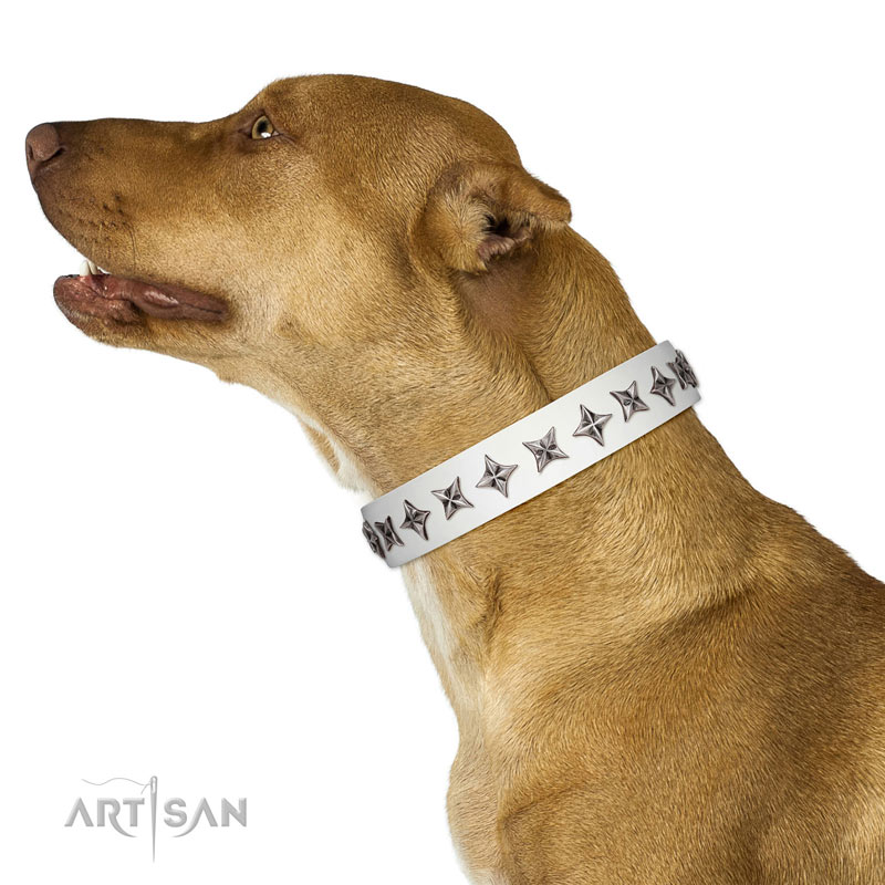 ホワイトの犬用レザークラフト首輪 [C3241113 Artisan Collar] 犬用品・犬グッズ・犬訓練