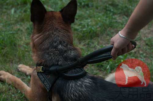 大型犬　盲導犬　ハーネス